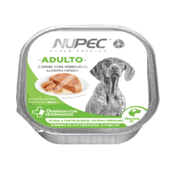 NUPEC  CLUSTER ADULTO